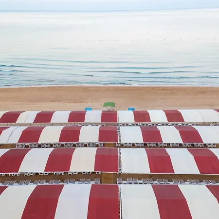 Royal Style 5* シダ